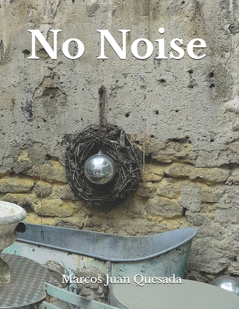 No Noise cover