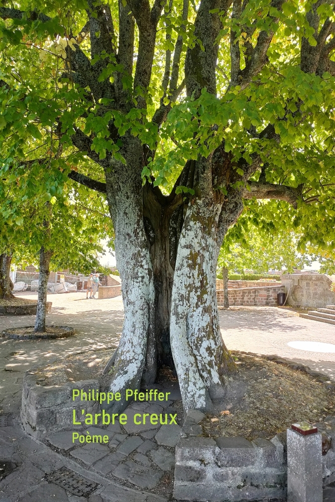 L'arbre creux: Poème cover