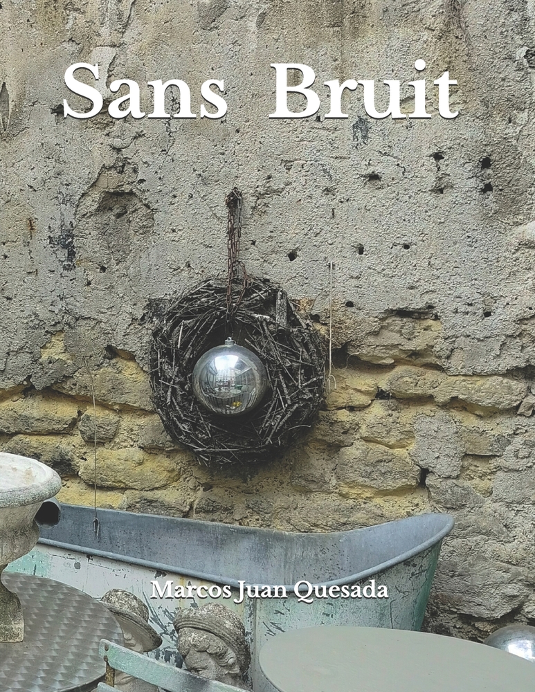Sans Bruit cover