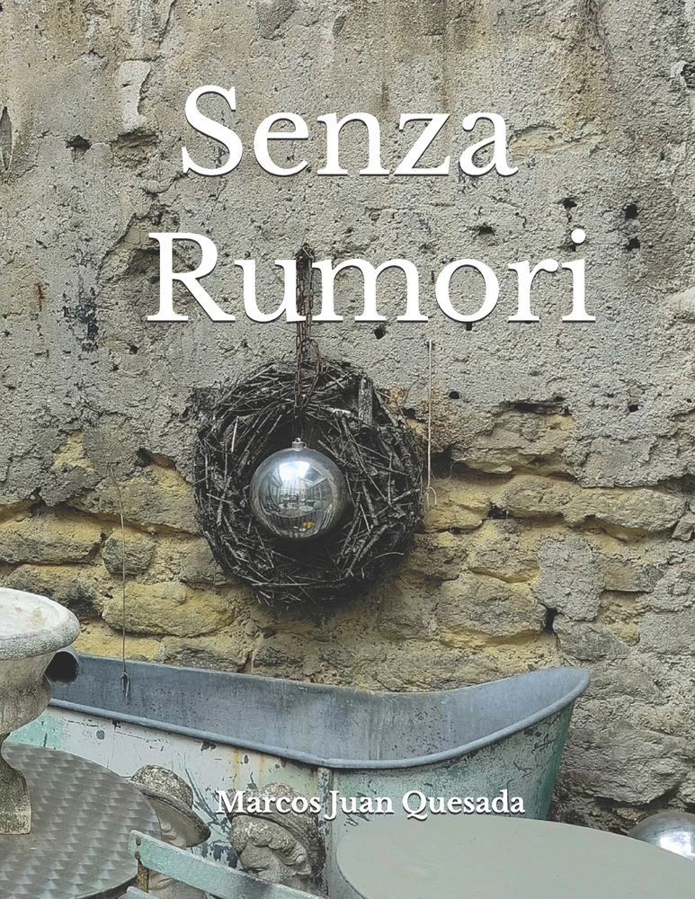 Senza Rumori cover