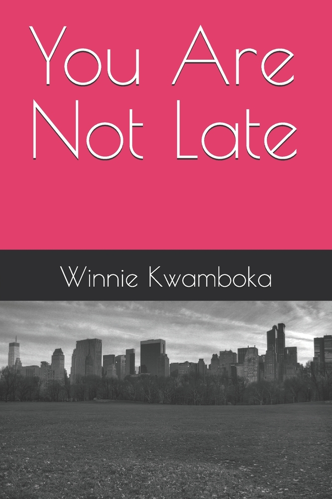 You Are Not Late cover