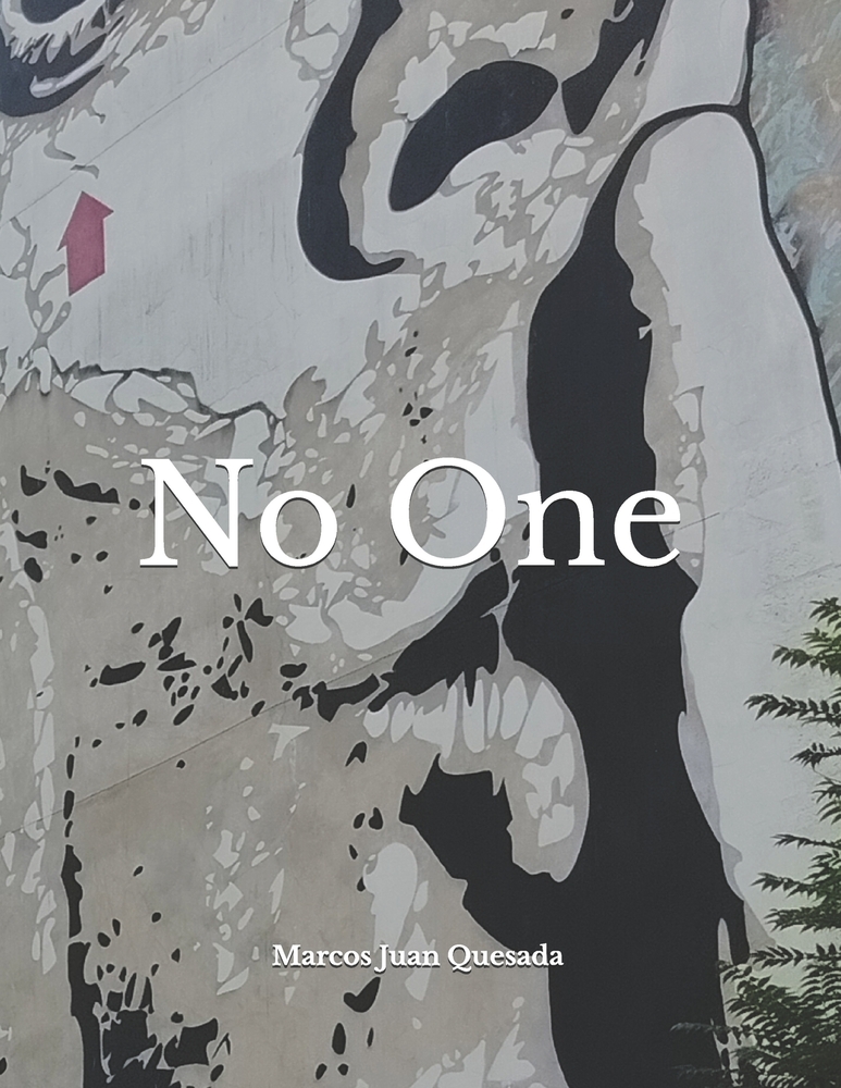 No One cover