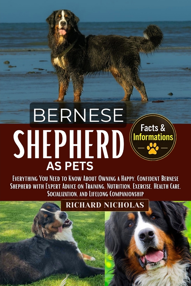 Bernese Shepherd as Pets: Everything You Need to Know About Owning a Happy, Confident Bernese Shepherd with Expert Advice on Training, Nutrition, Exer cover