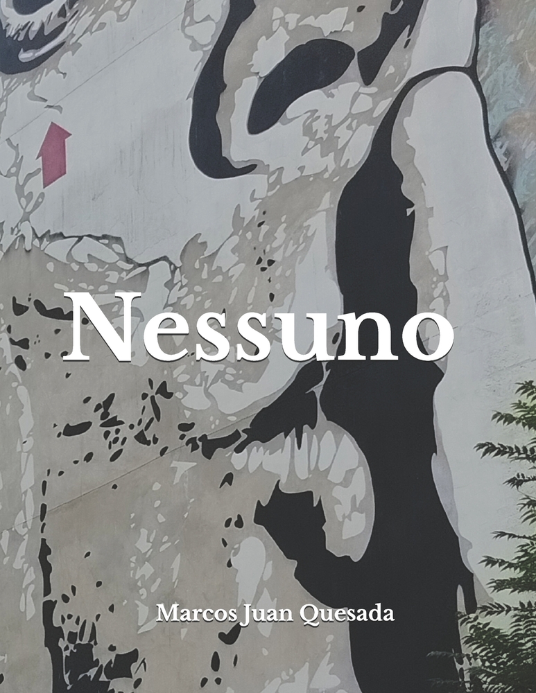 Nessuno cover