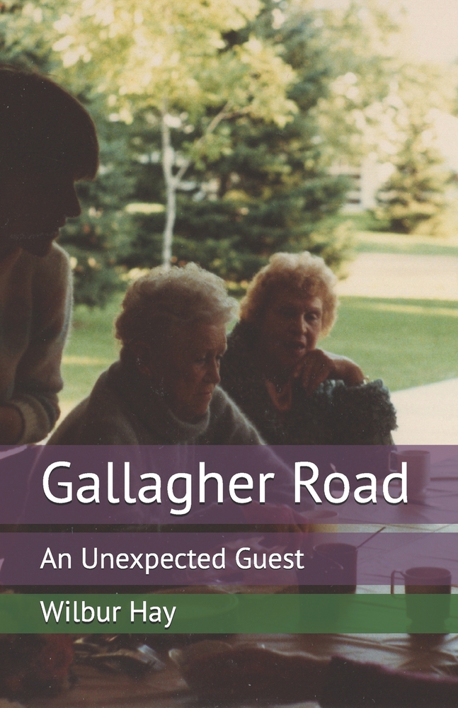 Gallagher Road: A House for the Life That Might Have Been cover