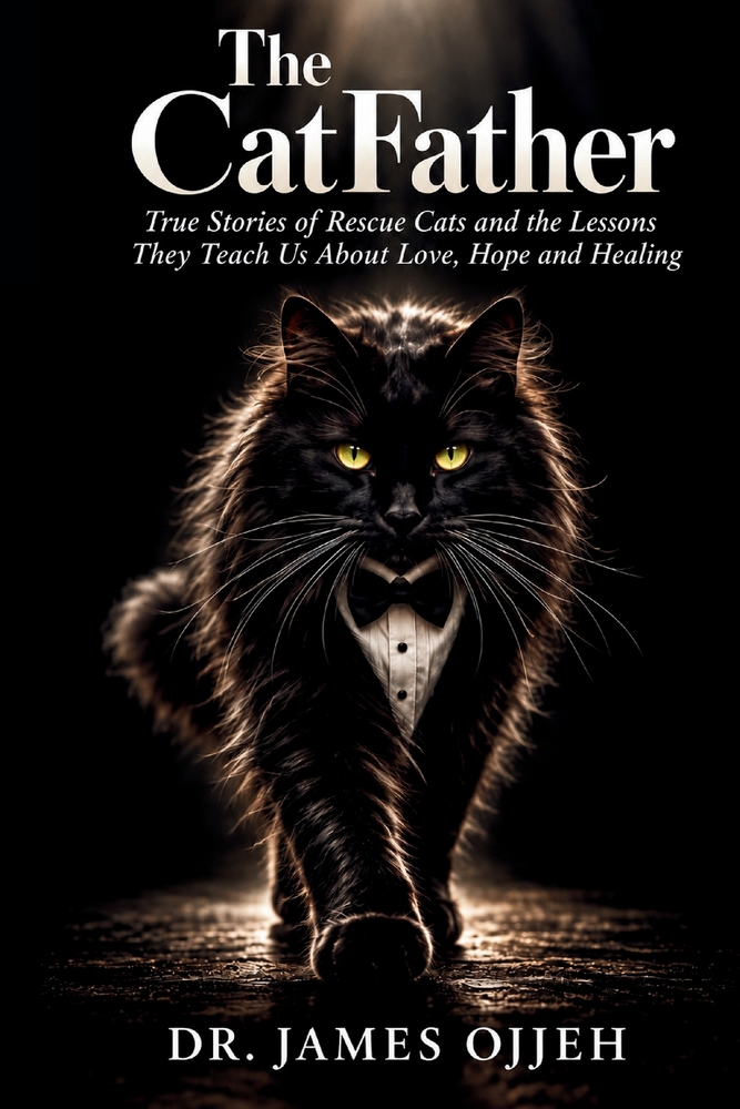 The CatFather: True Stories of Rescue Cats and the Lessons They Teach Us About Love, Hope and Healing cover