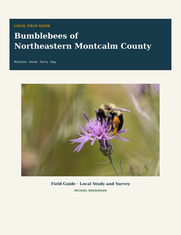Bumblebees of Northeastern Montcalm County: Field Guide, Local Study, and Survey for Richland, Home, Ferris, and Day Townships cover