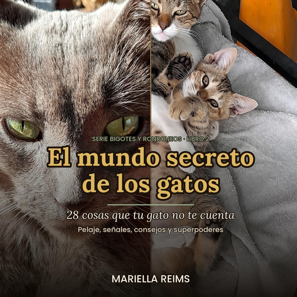 El mundo secreto de los gatos: Veintiocho secretos de los gatos organizados en cuatro capítulos. cover