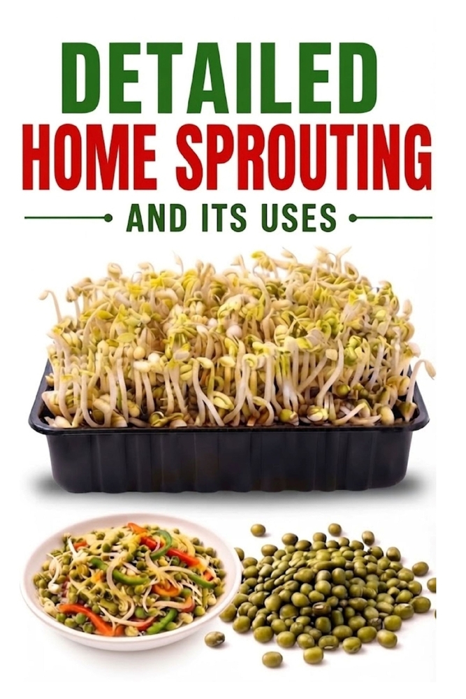 Detailed Home Sprouting and Its Uses cover
