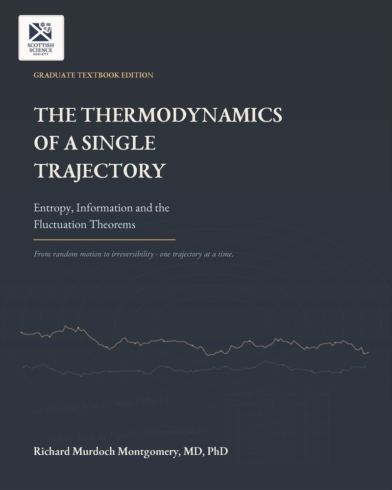 The Thermodynamics of a Single Trajectory: Entropy, Information and the Fluctuation Theorems cover