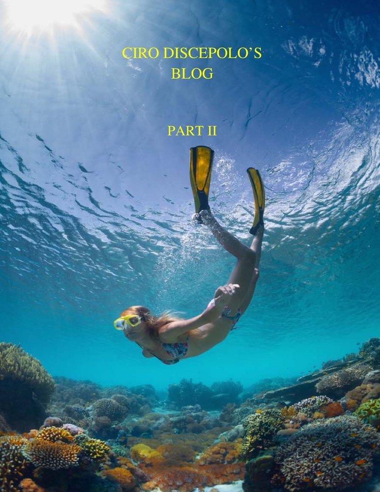 Ciro Discepolo's Blog: PART 2: Second Edition cover