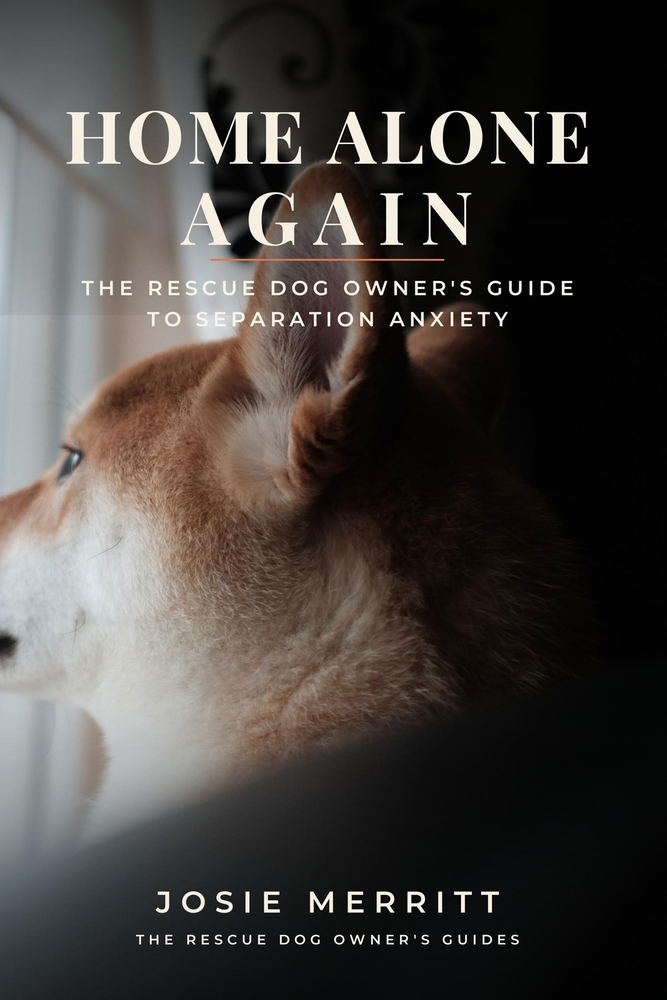 Home Alone Again: The Rescue Dog Owner's Guide to Separation Anxiety: A Step-by-Step Protocol for Helping Your Dog Feel Safe When You Leave cover