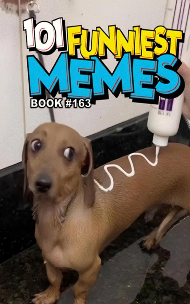 101 Funniest Memes: Book 160 cover