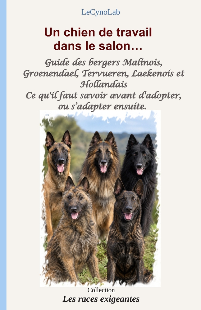 Un chien de travail dans le salon: Guide des bergers Malinois, Groenendael, Tervueren, Laekenois et Hollandais: ce qu'il faut savoir avant d'adopter cover
