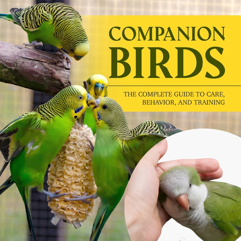 Companion Birds: The Complete Guide to Care, Behavior, and Training cover