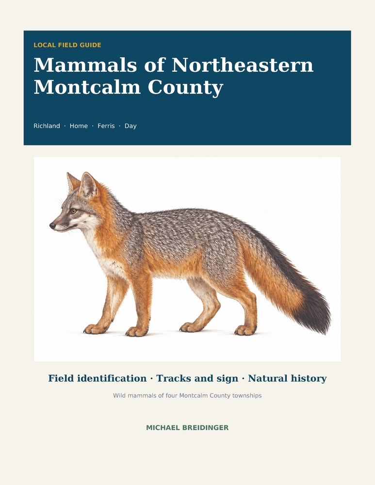 Mammals of Northeastern Montcalm County cover