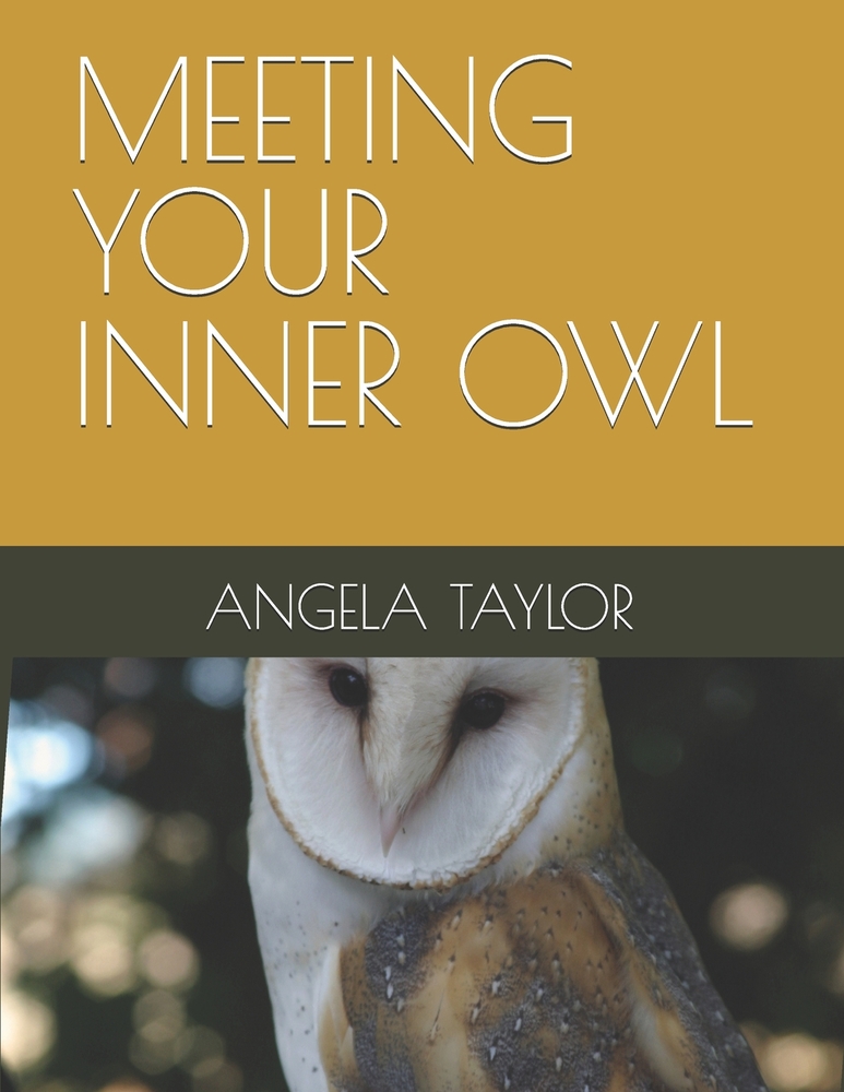 Meeting Your Inner Owl: Drawings by author cover