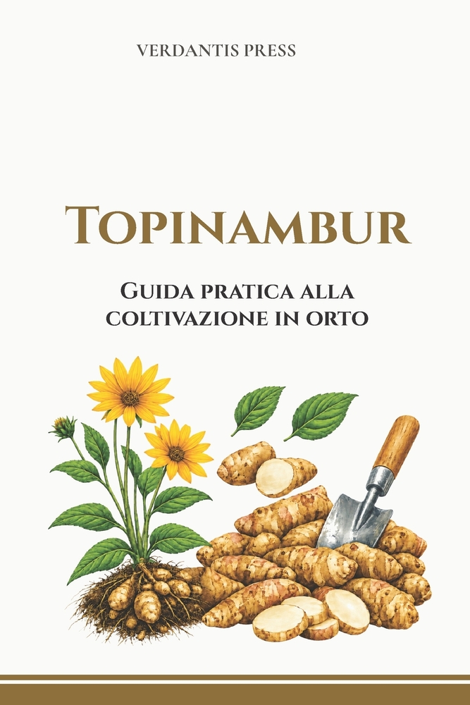 Topinambur: Guida pratica alla coltivazione in orto cover