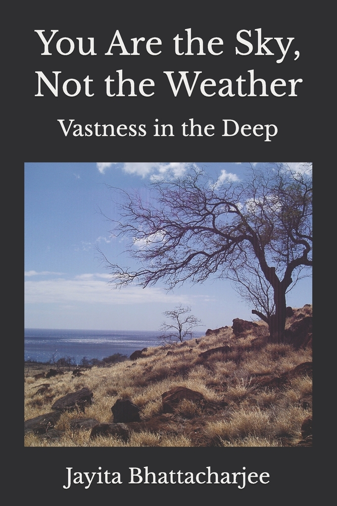You Are the Sky, Not the Weather: Vastness in the Deep cover