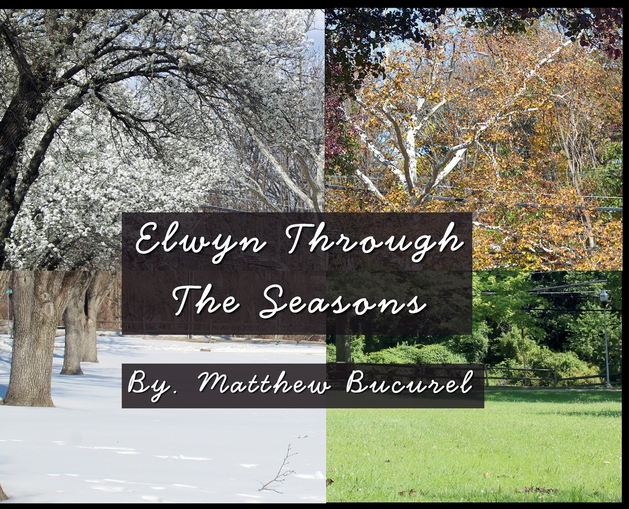 Elwyn Through The Seasons cover
