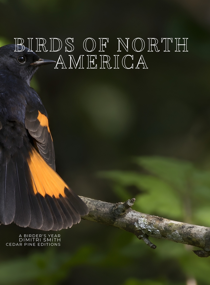 Birds of North America: A Birder's Year cover