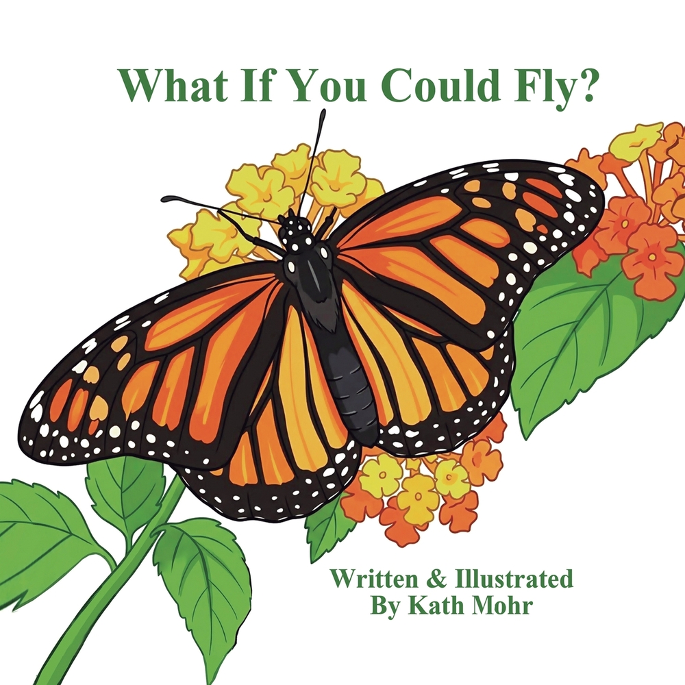 What If You Could Fly? cover