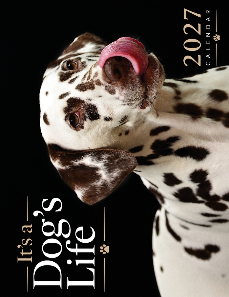 It's a Dog's Life 2027 Calendar cover