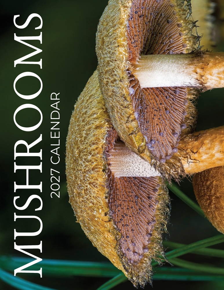 Mushrooms 2027 Calendar cover