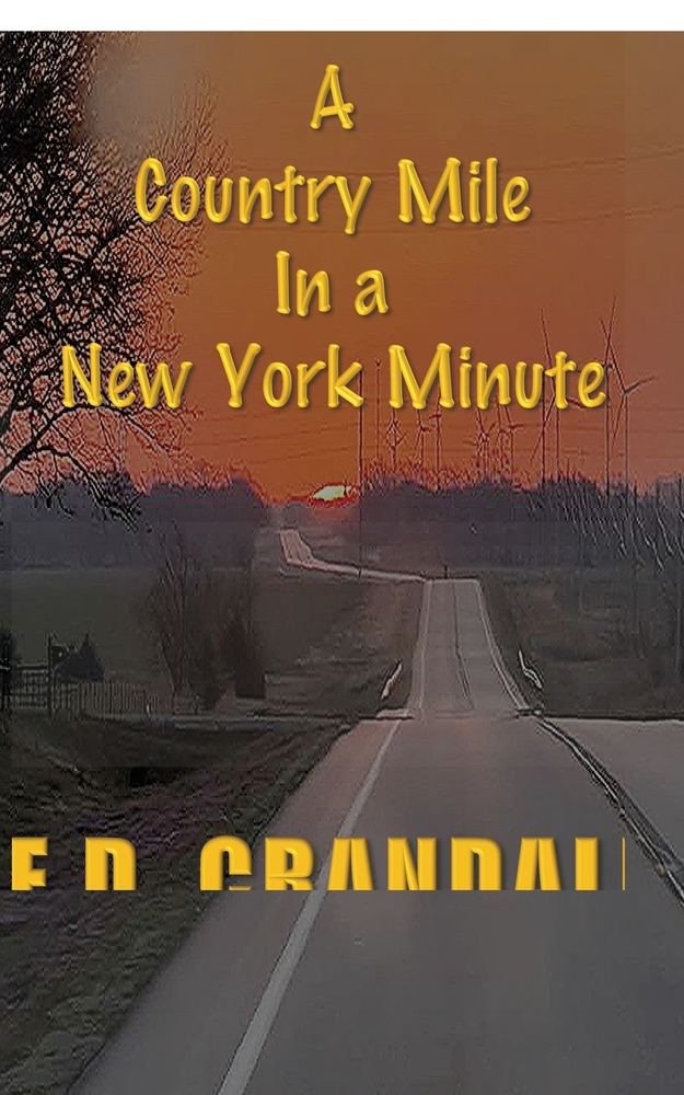 A Country Mile in a New York Minute cover