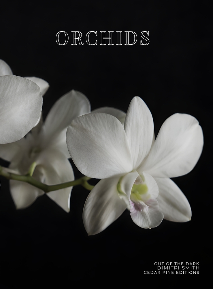 Orchids: Out of the Dark cover