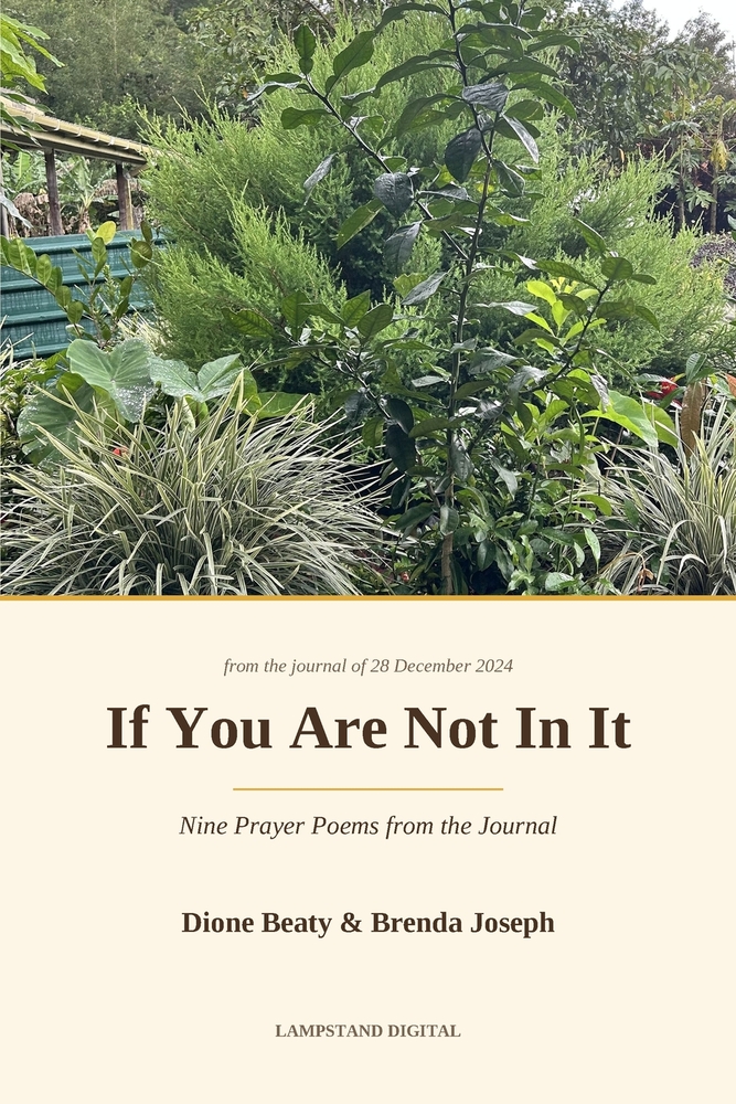 If You Are Not In It cover
