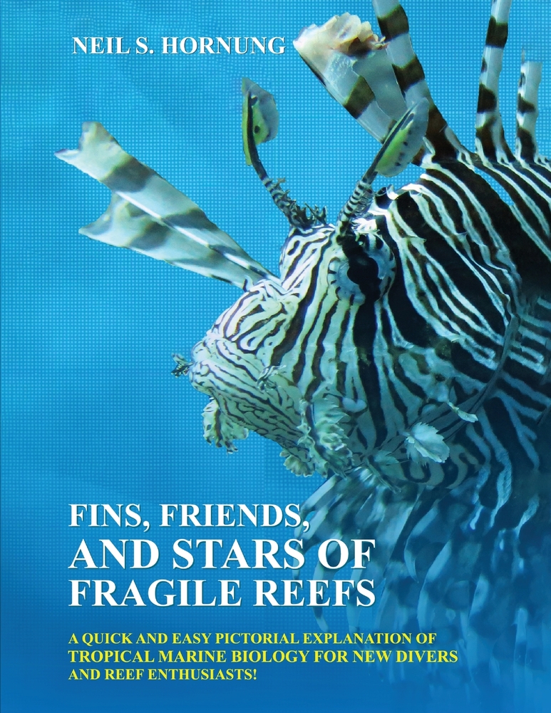 Fins, Friends, and Stars of Fragile Reefs cover