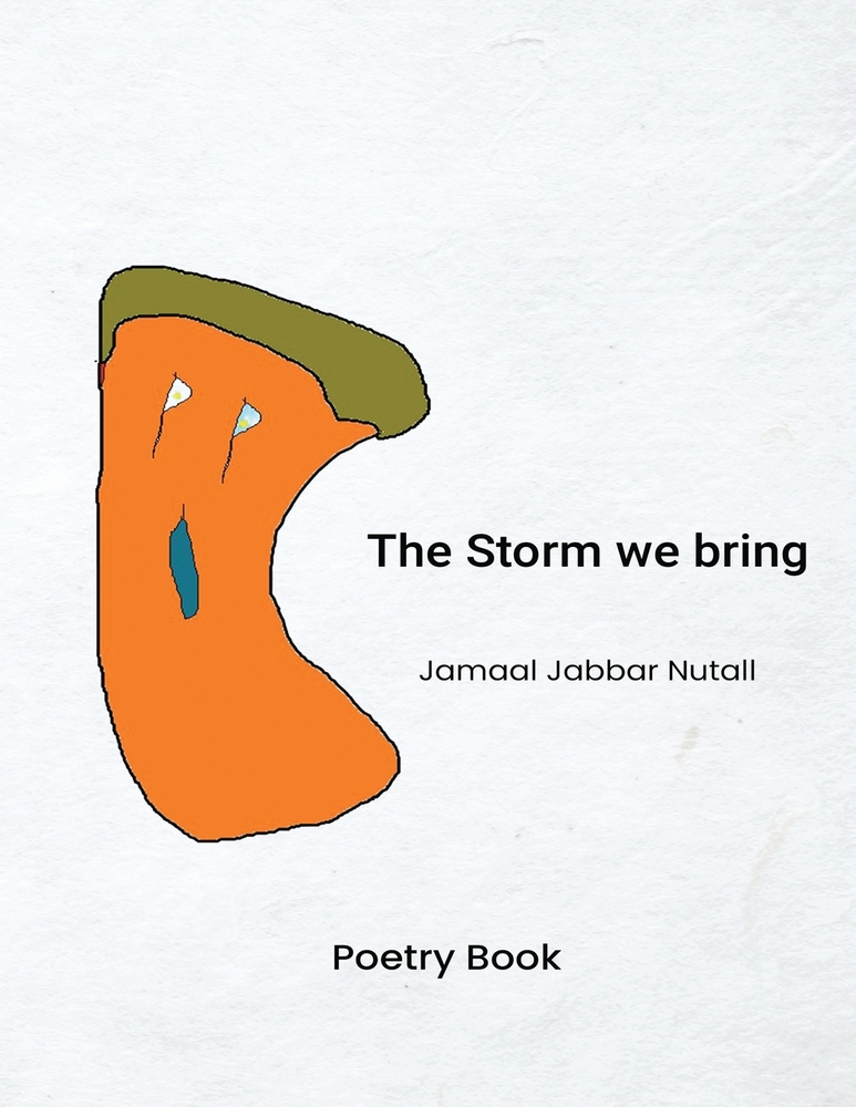 The Storm We Bring cover