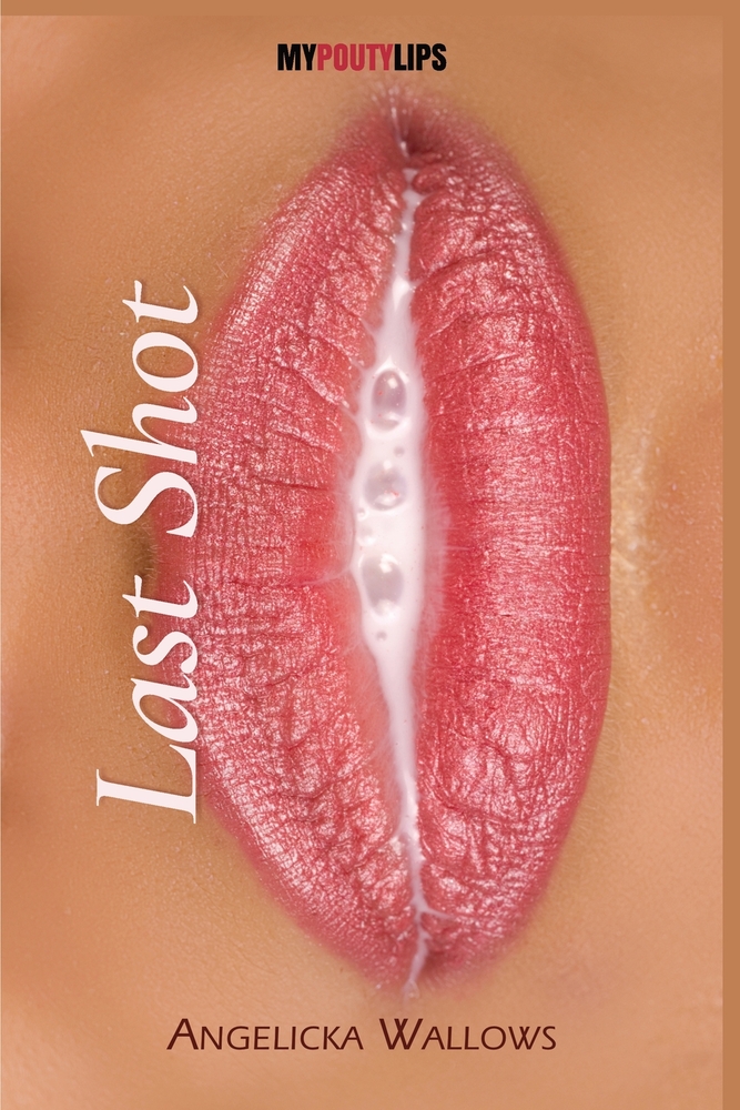 Last Shot cover