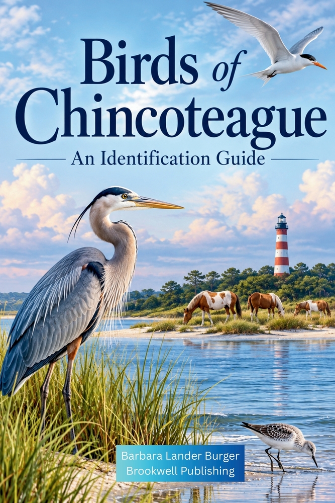 Birds of Chincoteague cover