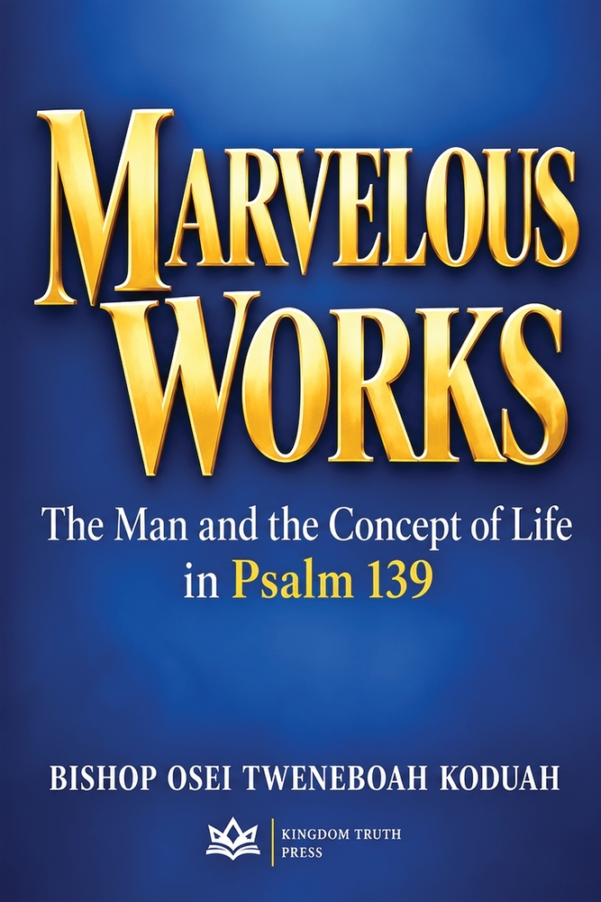 Marvelous Work cover