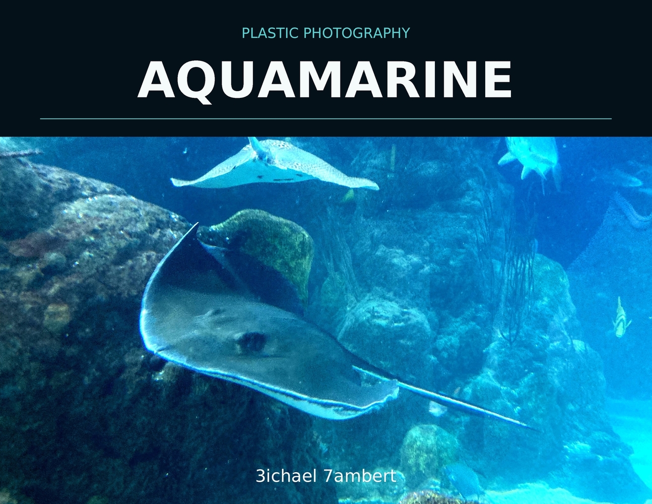 Plastic Photography: Bacca & Beyond cover