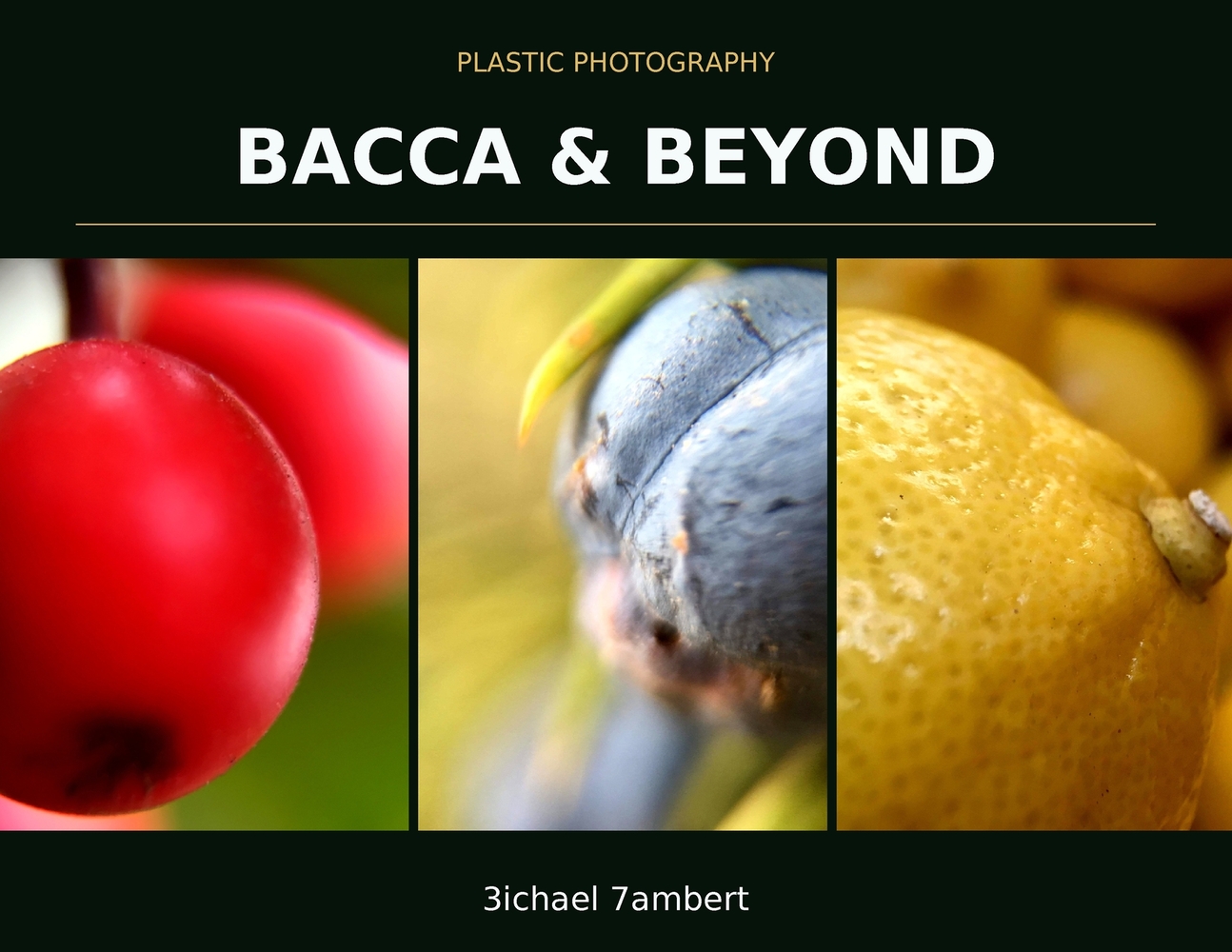 Plastic Photography: Bacca & Beyond cover