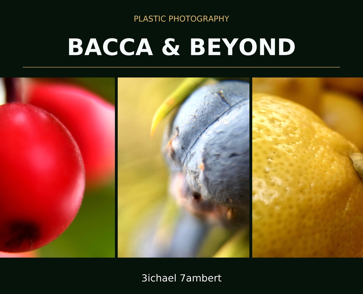 Plastic Photography: Bacca & Beyond cover