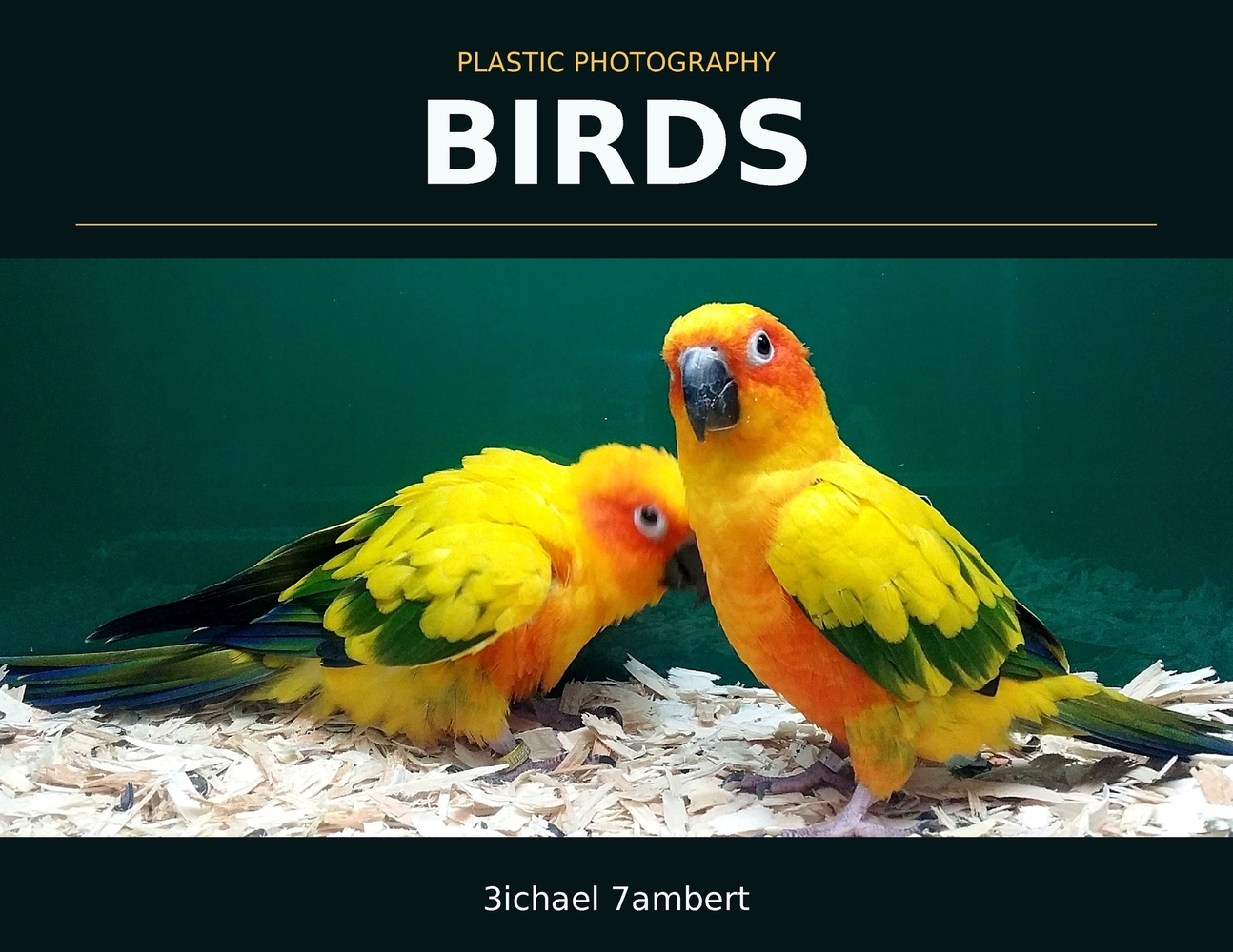 Plastic Photography: Bacca & Beyond cover