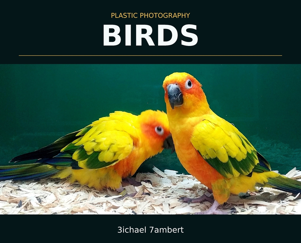 Plastic Photography: Bacca & Beyond cover