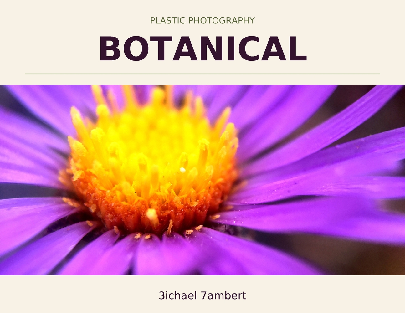 Plastic Photography: Bacca & Beyond cover