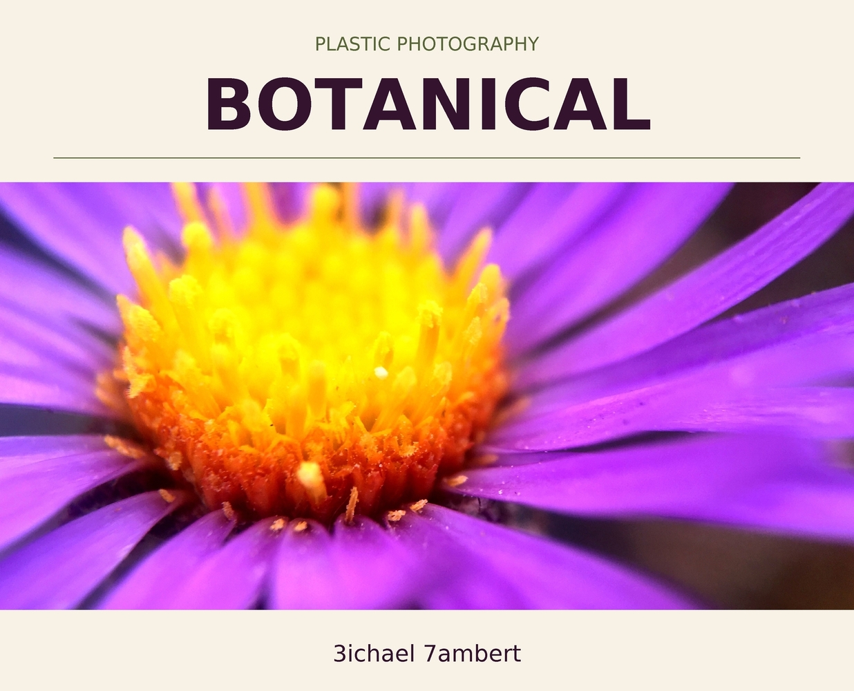 Plastic Photography: Bacca & Beyond cover
