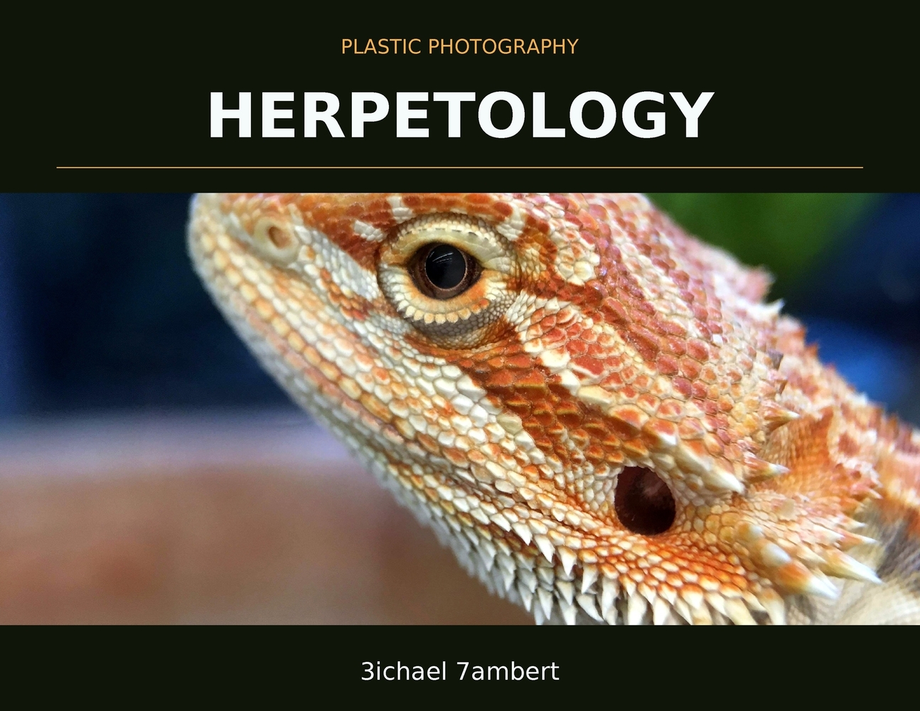 Plastic Photography: Bacca & Beyond cover
