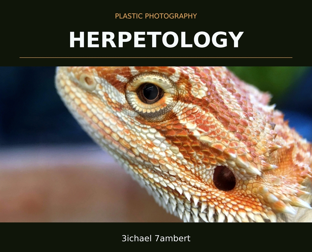Plastic Photography: Bacca & Beyond cover