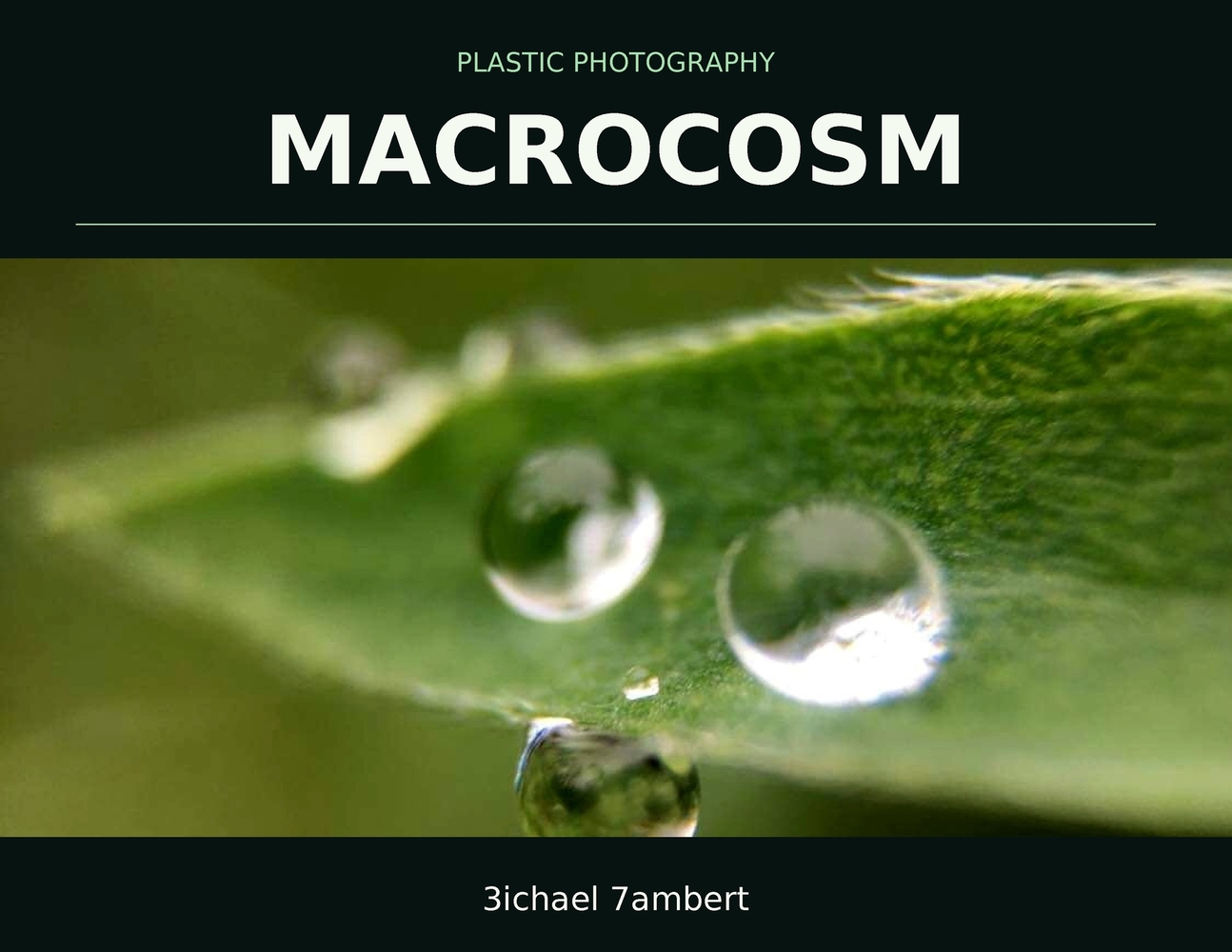 Plastic Photography: Bacca & Beyond cover