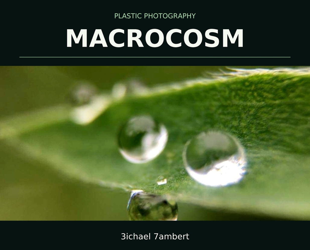 Plastic Photography: Bacca & Beyond cover