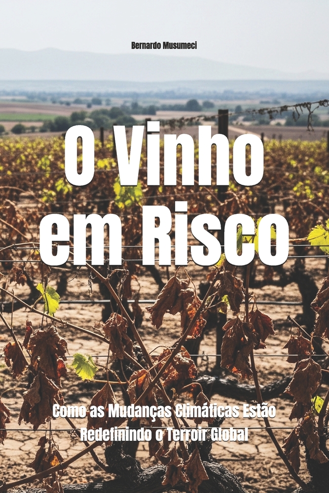 O Vinho em Risco: Como as Mudanças Climáticas Estão Redefinindo o Terroir Global cover