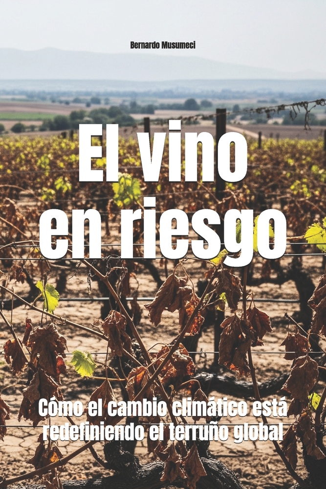El vino en riesgo: Cómo el cambio climático está redefiniendo el terruño global cover
