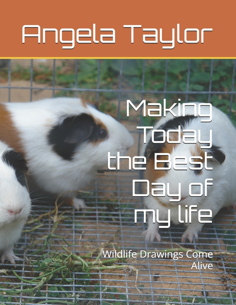 Making Today the Best Day of My Life: Wildlife Drawings Come Alive cover
